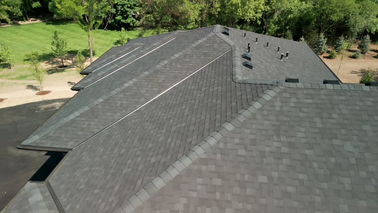 Best Roof Insulation Installation  in Brown City, MI