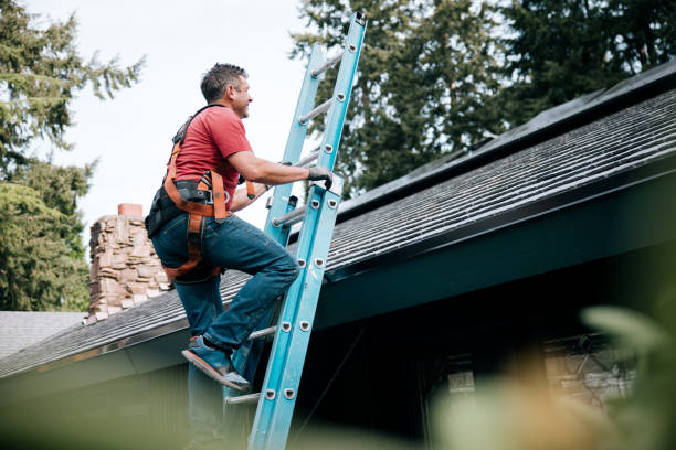 Best Gutter Installation and Repair  in Brown City, MI