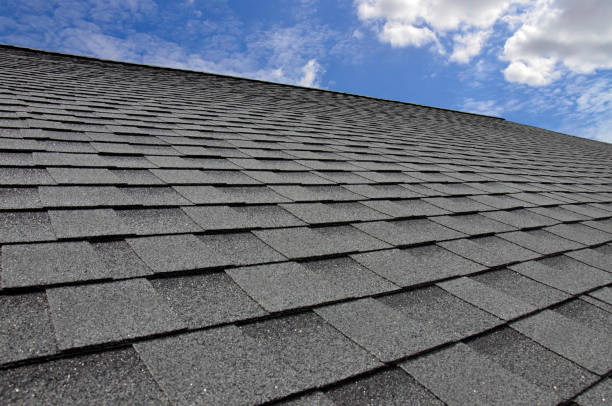 Best Roof Leak Repair  in Brown City, MI