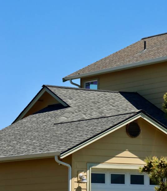 Best Emergency Roof Repair Services  in Brown City, MI